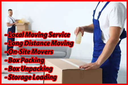 Packers And Movers Noida Sector 155